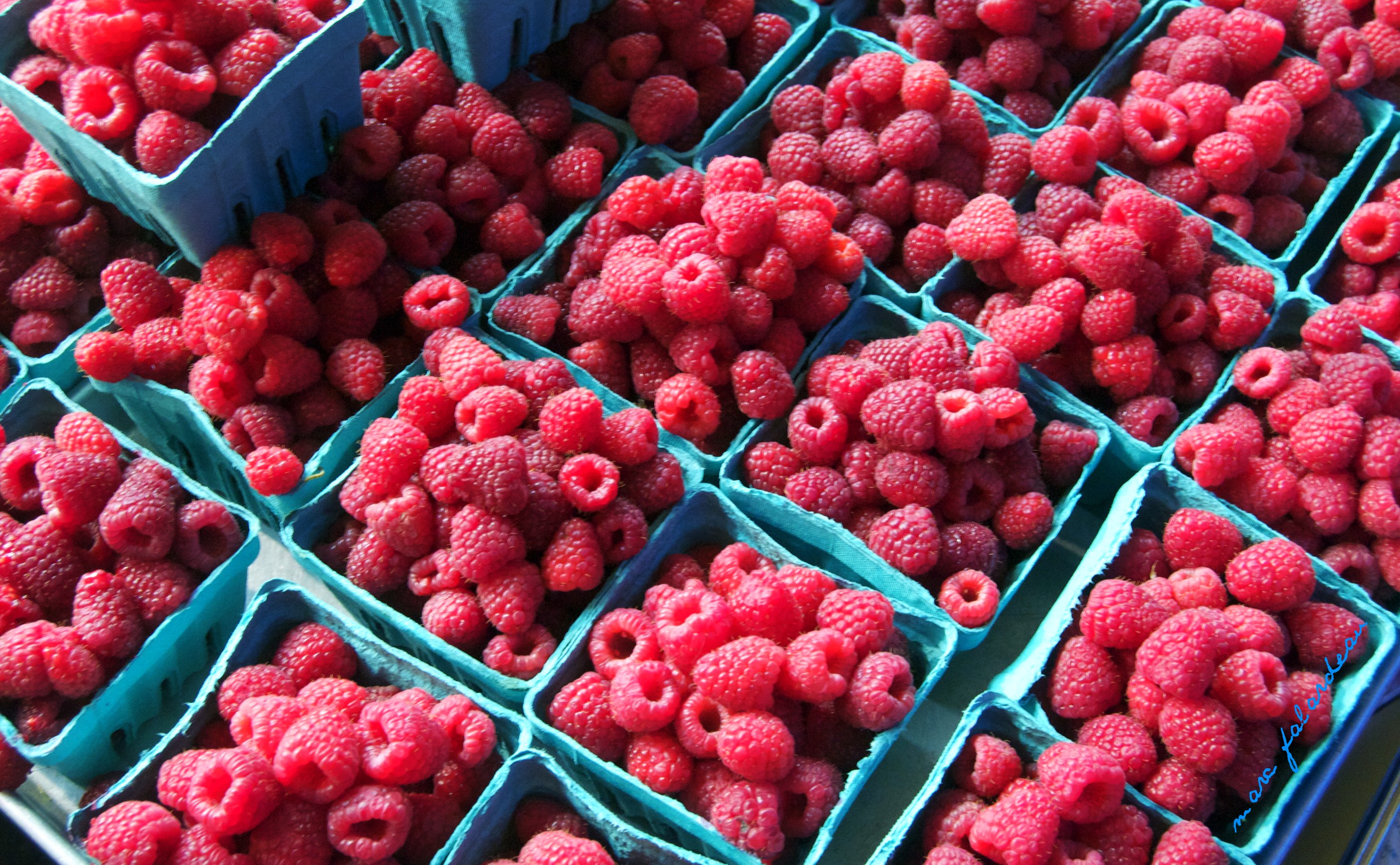 Rasberries