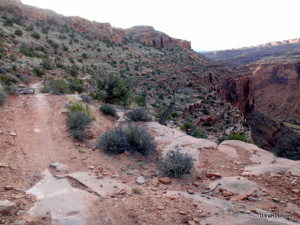 Porcupine Rim Singletrack